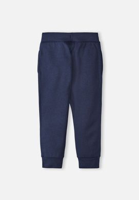 Детские велюровые штаны Reima Kahville 5200015A-6980 синие RM-5200015A-6980 фото