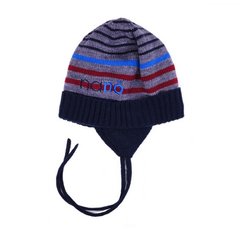 Зимняя шапка для мальчика Nano F16TC269 Gray Mix F16TC269 фото