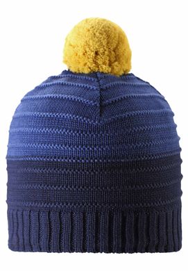 Зимняя шапка Reima Aapa 538080-6981 синяя RM-538080-6981 фото