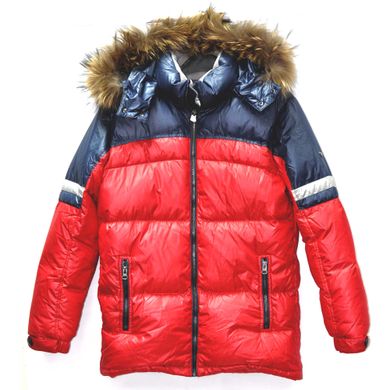 Зимова куртка для хлопчика "Вечірня" Snowimage z4591 фото