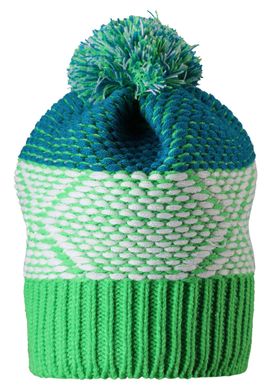 Детская шапка Reima Mikku 538043-8400 зеленая RM-538043-8400 фото