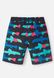 Плавательные шорты для мальчика Reima Papaija 532233-9991 RM-532233-9991 фото 2